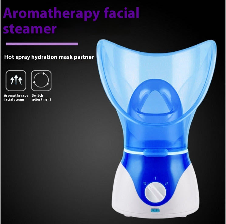 Home Facial Steamer