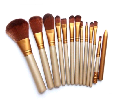 12-Piece Makeup Brush Set with Tin