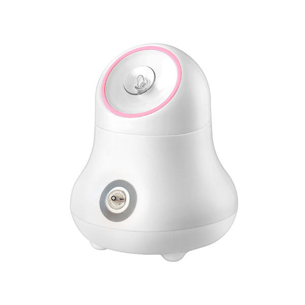Facial Steamer