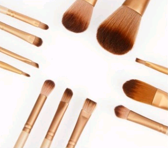 12-Piece Makeup Brush Set with Tin