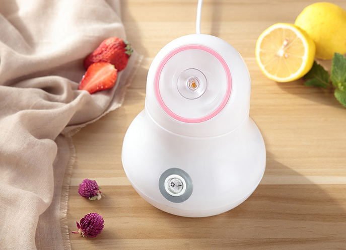 Facial Steamer